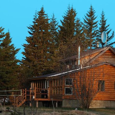 Bear Den Vacation Home Anchor Point Ruang foto